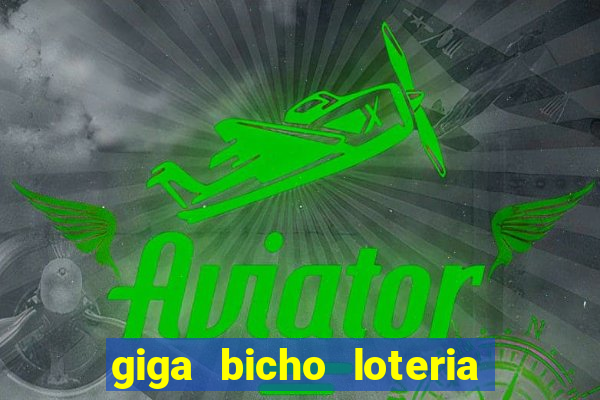 giga bicho loteria dos sonhos